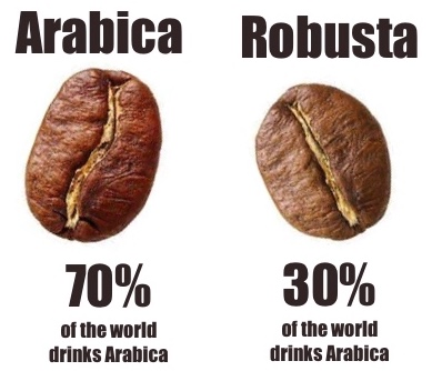 Arabica vs Robusta
