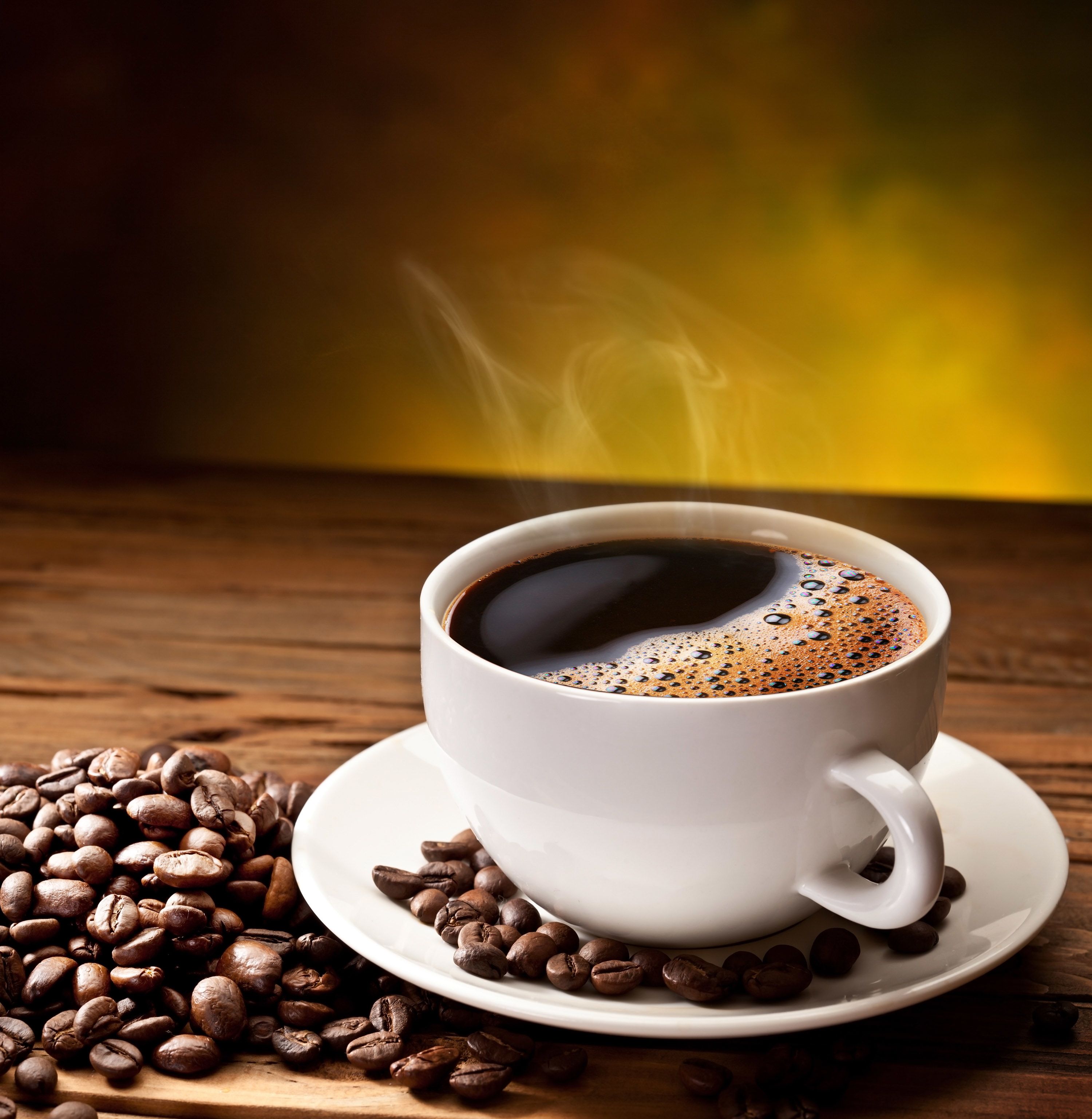 Coffee brewing equipment including French press and pour-over